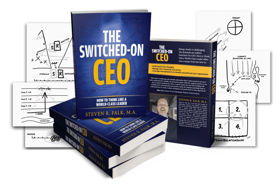 Stack of The Switched-On CEO paperbacks surrounded by hand-drawn Switchback framework sheets